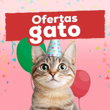 Ofertas para gato