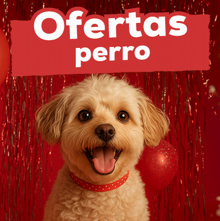 Ofertas para perro