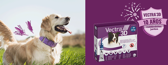 Vectra: pipetas antiparasitarias para proteger a tu perro de pulgas, garrapatas y mosquitos