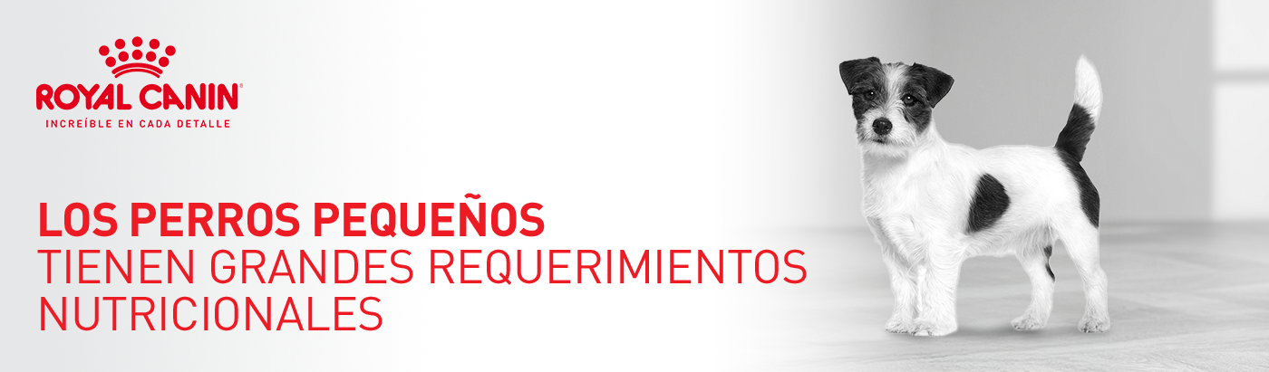 Royal Canin. Los perros pequeños tienen grandes requerimientos nutricionales