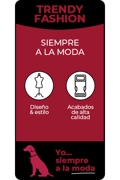 Gotoo Trendy Fashion- Accesorios de paseo de alta calidad y con un diseño y estilo siempre a la moda.