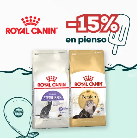 Royal Canin: -15% en selección de pienso para gato