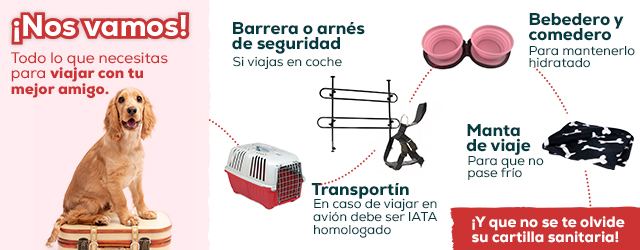 Post Blog Ir de viaje con tu mascota