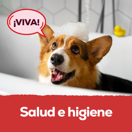 Salud e Higiene: Descuentos en selección de productos para perro y gato