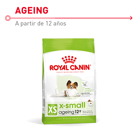 Pienso  para perros mayores de 12 años de razas muy pequeñas  Royal Canin X-Small Ageing 12+