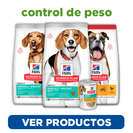 Hill's Science Plan - Elige la alimentación para perros adecuada para el control de peso