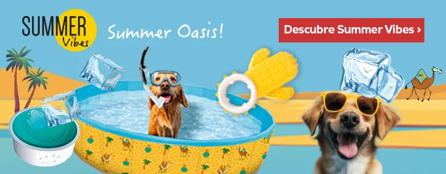 Summer Vibes: Los productos más refrescantes de la nueva colección de verano para perro