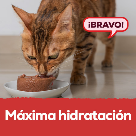 Comida húmeda: Hasta -30% en amplia selección para perro y gato