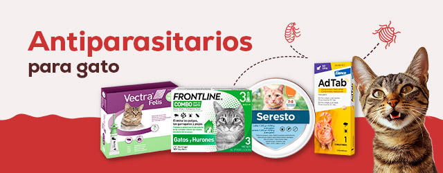 Antiparasitarios Gato