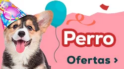 Ofertas para perro