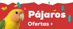 Ofertas pájaros