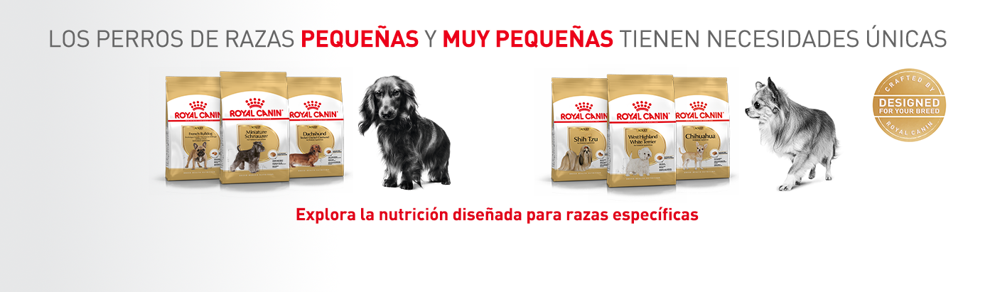 Explora la nutrición para perros de razas pequeñas y muy pequeñas con Royal Canin Razas mini