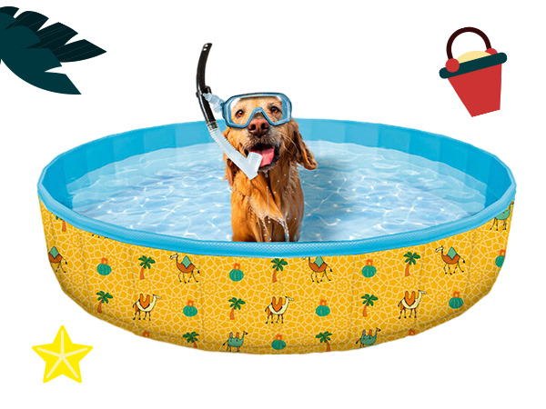 Piscinas para perros