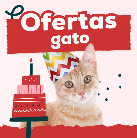 Ofertas para gato