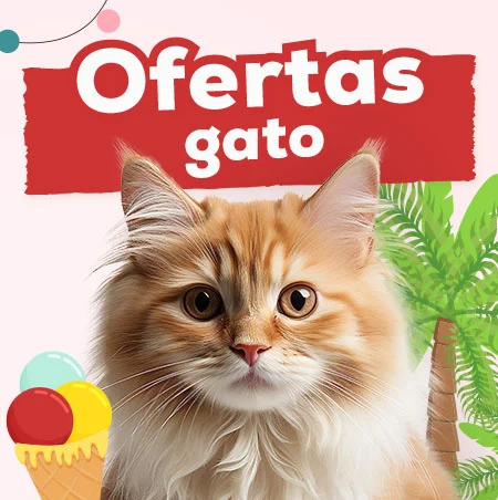 Ofertas para gato