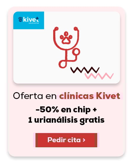 -50% de descuento exclusivo en chip (incluida colocación) y gestión de la documentación de gato + 1 urianálisis gratis.  -50% de descuento exclusivo en chip (incluida colocación) y gestión de la documentación de gato + 1 urianálisis gratis.