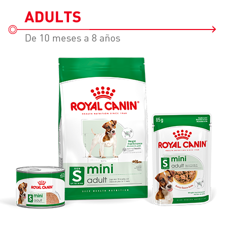 Pienso y comida húmeda para perros adultos de razas pequeñas. Royal Canin Mini Adult