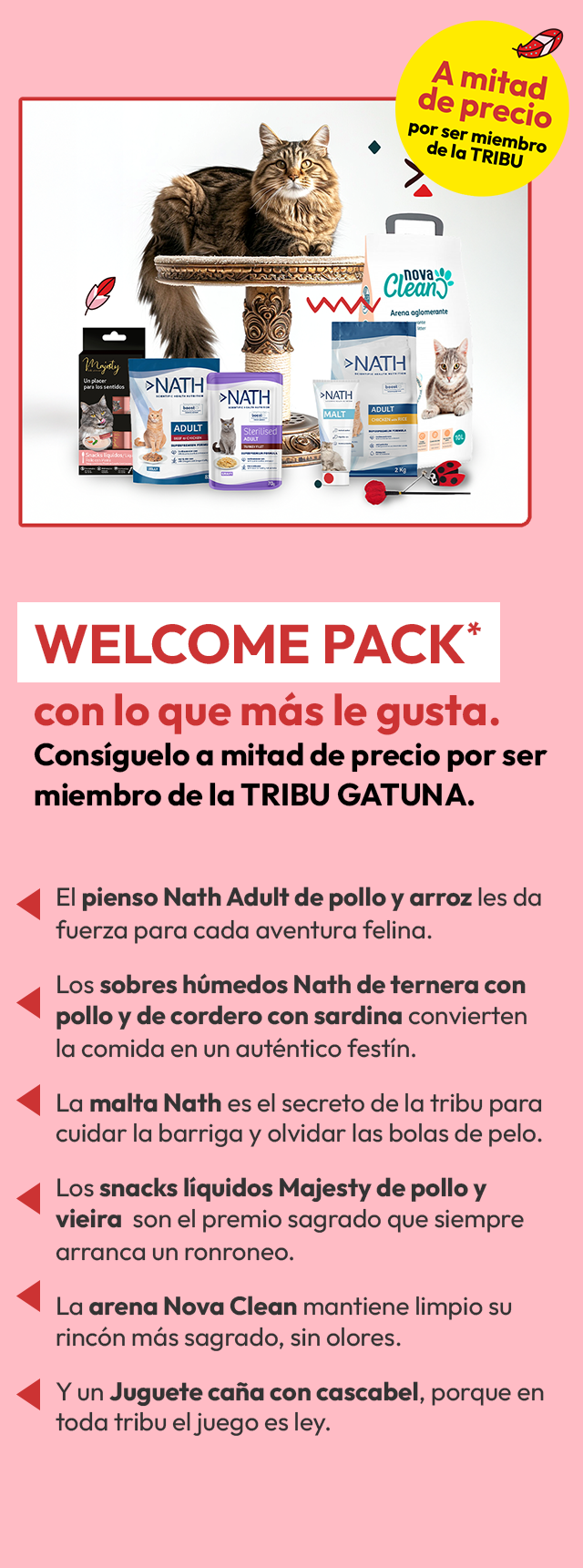 Imagen2 del Pack bienvenida