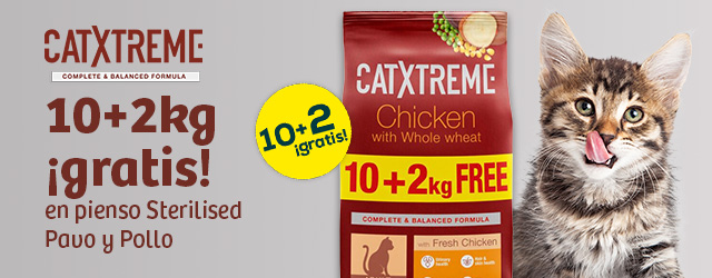 Catxtreme