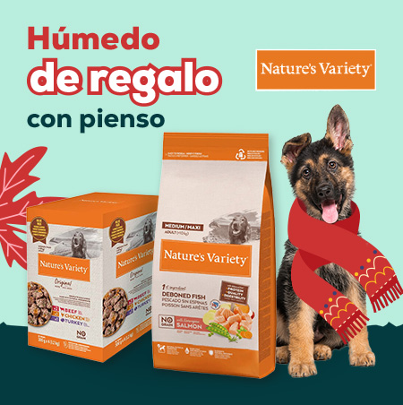 Nature's Variety: Multipack de húmedo de regalo con pienso no Grain Adult Medium Maxi Salmón para perro 12 kg Nature's Variety: Multipack de húmedo de regalo con pienso no Grain Adult Medium Maxi Salmón para perro 12 kg