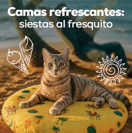 Camas refrescantes: Siestas al fresquito