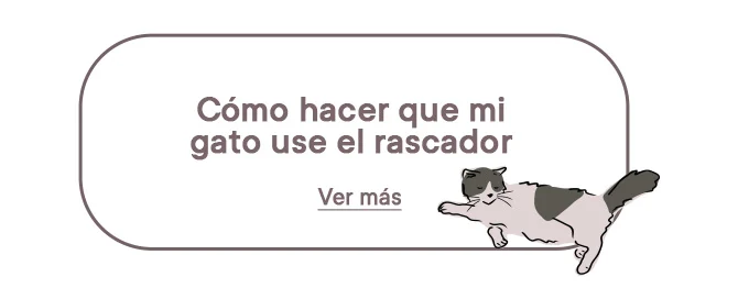 Consejos para hacer que tu gato use el rascador.