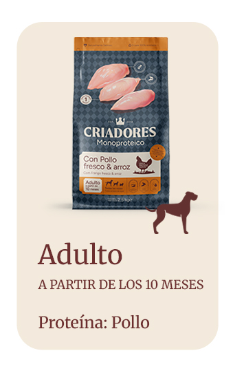 Criadores Monoproteico Adulto con Pollo pienso para perros   