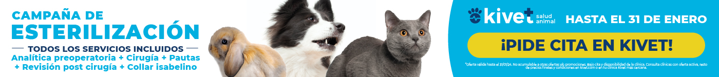 Kivet: campaña de esterilización