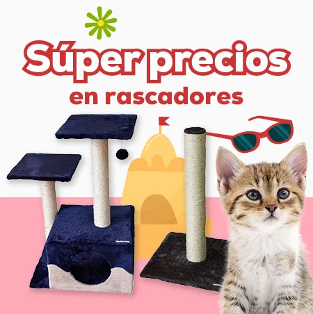Súper precios en selección de rascadores
