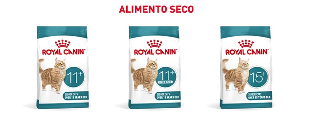 Royal Canin Senior. Encuentra el pienso que mejor se adapta para tu gato de edad avanzada.