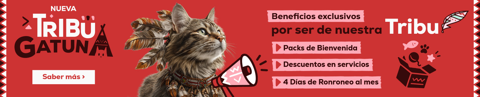 Beneficios exclusivos por ser de nuestra Tribu Gatuna