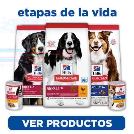 Un alimento adecuado de Hill's Science Plan para cada etapa de vida de tu perro
