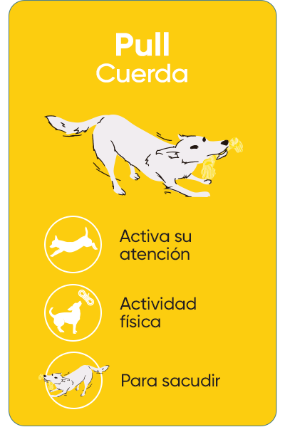 Pull -  Juguetes de cuerda para lanzar y buscar
