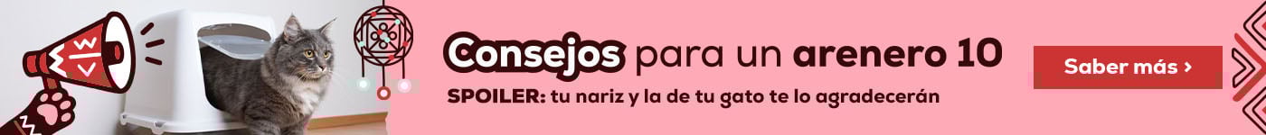 Trucos gatunos para un arenero de 10. Clicka para seguir leyendo Trucos gatunos para un arenero de 10. Clicka para seguir leyendo