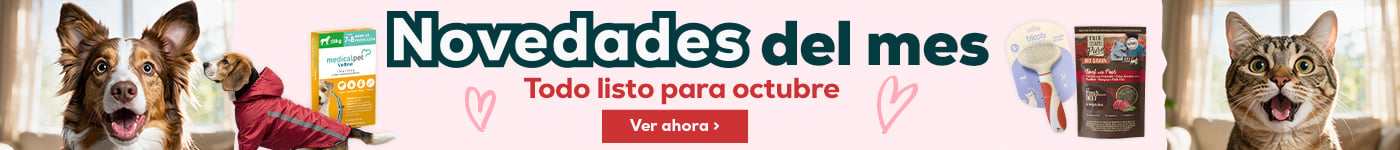 Descubre las novedades de octubre