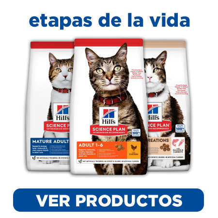 Un alimento adecuado de Hill's Science Plan para cada etapa de vida de tu gato