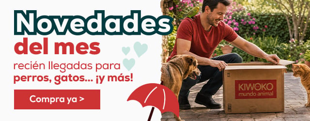 Descubre las novedades de Septiembre