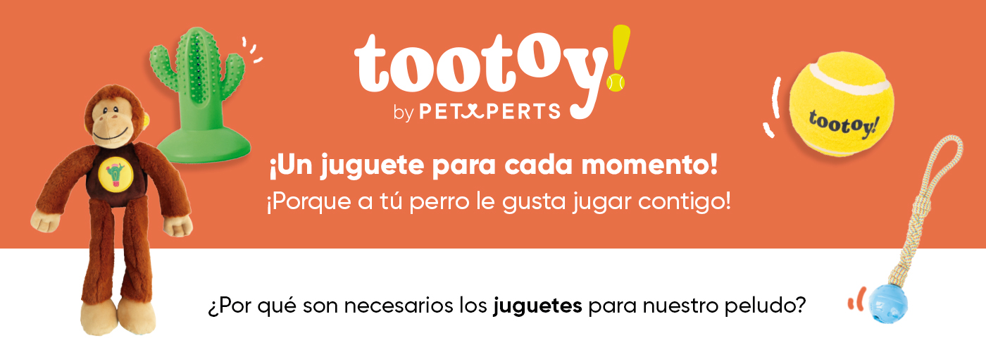 Tootoy perro ¡Un jueguete para cada momento!