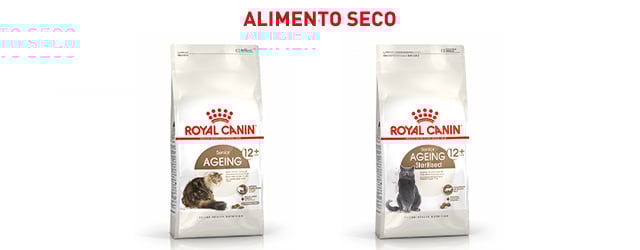Royal Canin Senior. Encuentra el pienso que mejor se adapta para tu gato de edad avanzada.
