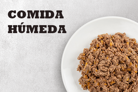 Comida húmeda para gatos Acana