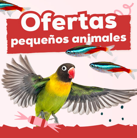 Ofertas para pequeños animales