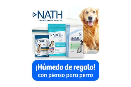 Banner Pienso Perro