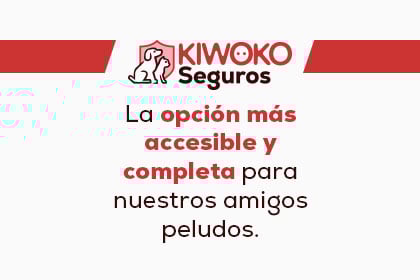 Banner accesorios  gato