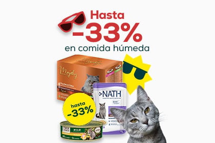 Banner arenas y accesorios gato
