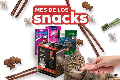 Banner viaje  gato