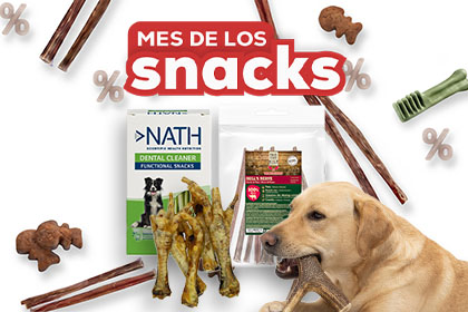 Banner juguetes perro