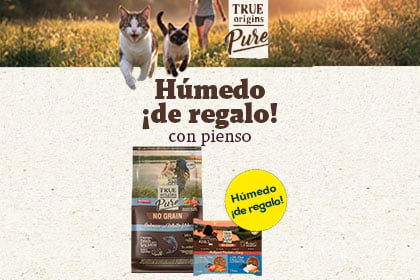 Banner ofertas gato