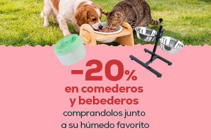 Banner camas gato