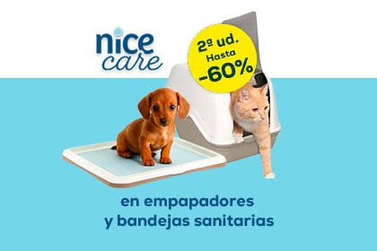 Banner higiene perro