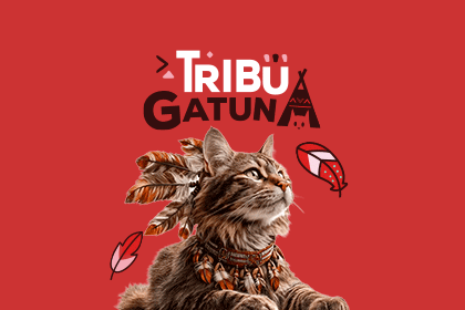 Banner rascadores gato